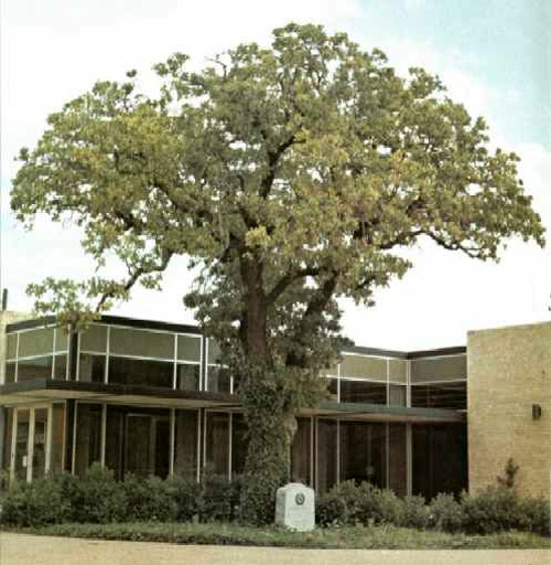 Cattle Raisers Oak